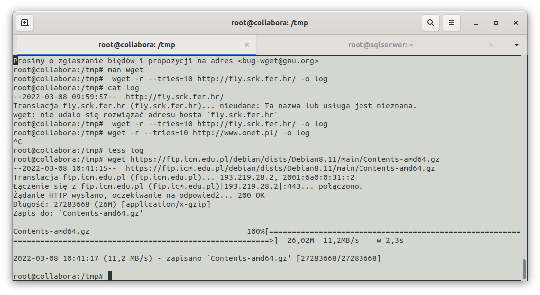 wget
